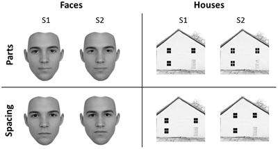 Neurophysiological Correlates of Featural and Spacing Processing for Face and Non-face Stimuli